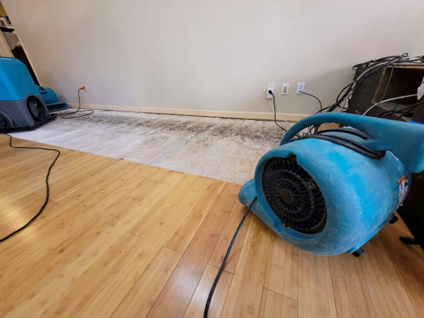 Professional Ceiling Water Damage Repair technician working in Greenville, IN